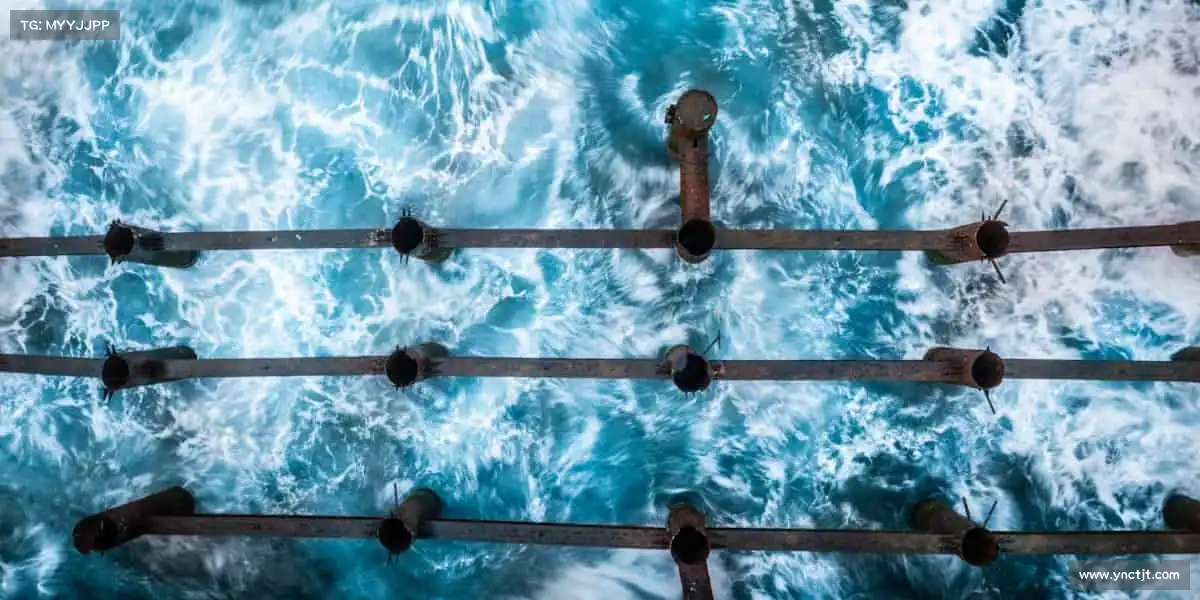 <strong>UED官网</strong>🏊‍♂️逐浪前行，每一次冲刺都是超越的勋章！